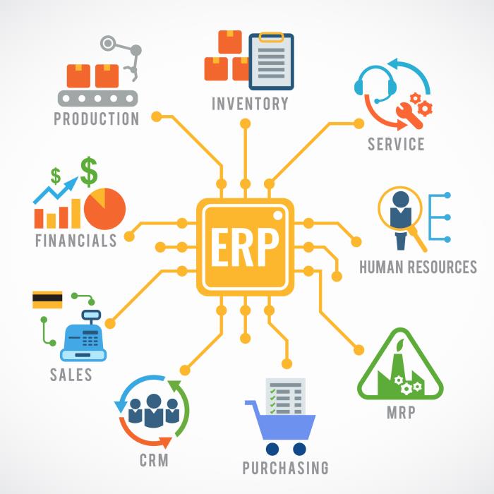 Ibis Business Intelligence Solutions Enterprise Resource Planning ERP